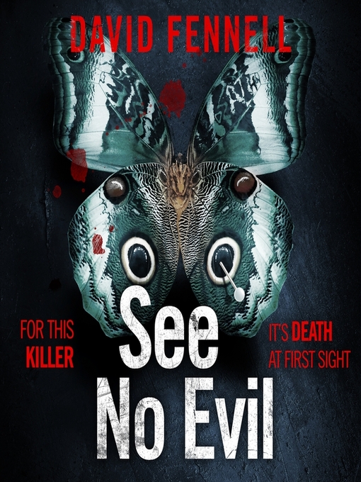 Title details for See No Evil by David Fennell - Wait list